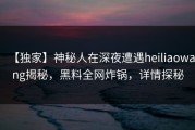 【独家】神秘人在深夜遭遇heiliaowang揭秘，黑料全网炸锅，详情探秘