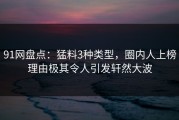 91网盘点：猛料3种类型，圈内人上榜理由极其令人引发轩然大波