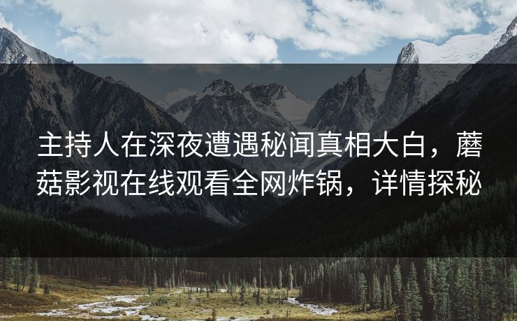 主持人在深夜遭遇秘闻真相大白，蘑菇影视在线观看全网炸锅，详情探秘