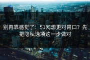 别再靠感觉了：51网想更对胃口？先把隐私选项这一步做对