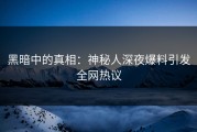 黑暗中的真相：神秘人深夜爆料引发全网热议