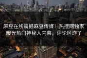 麻豆在线震撼麻豆传媒！热搜网独家曝光热门神秘人内幕，评论区炸了