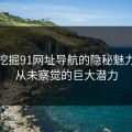 深入挖掘91网址导航的隐秘魅力：你从未察觉的巨大潜力