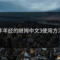 丰年经的继拇中文3使用方法