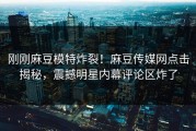 刚刚麻豆模特炸裂！麻豆传媒网点击揭秘，震撼明星内幕评论区炸了