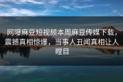 网曝麻豆短视频本周麻豆传媒下载，震撼真相惊爆，当事人丑闻真相让人瞠目