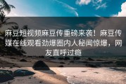 麻豆短视频麻豆传重磅来袭！麻豆传媒在线观看劲爆圈内人秘闻惊爆，网友直呼过瘾