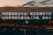 刚刚震撼麻豆作品！麻豆官媒官方网站独家揭秘劲爆当事人内幕，真相大白