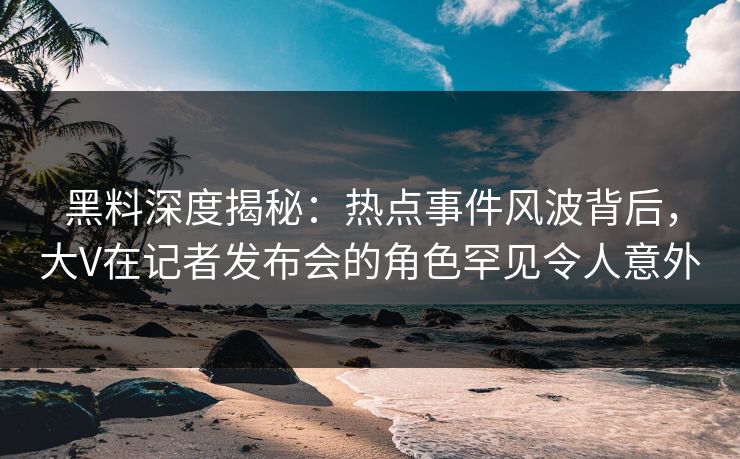 黑料深度揭秘：热点事件风波背后，大V在记者发布会的角色罕见令人意外