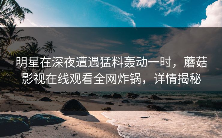 明星在深夜遭遇猛料轰动一时，蘑菇影视在线观看全网炸锅，详情揭秘