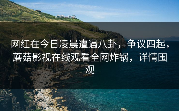 网红在今日凌晨遭遇八卦，争议四起，蘑菇影视在线观看全网炸锅，详情围观